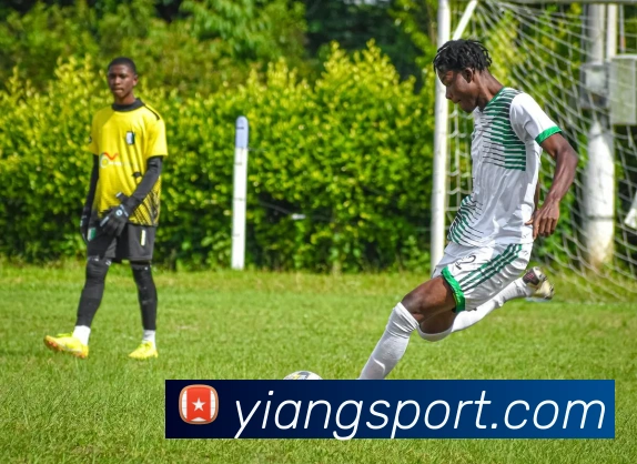 多媒体互动体验